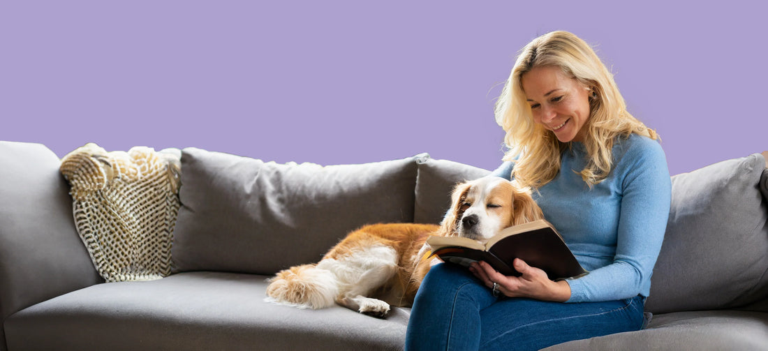 Anxiety in Dogs - The More You Know, The Better For Them